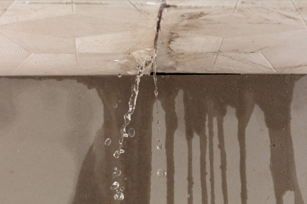 Professional Burst Pipe Cleanup technician working in Crestwood, IL